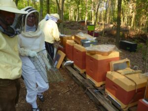 Lehrbienenstand Bienenstand