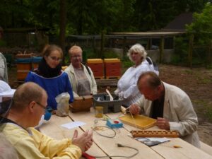 Lehrbienenstand Umlarvaktion