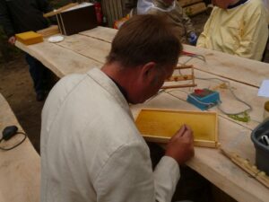 Lehrbienenstand Umlarven