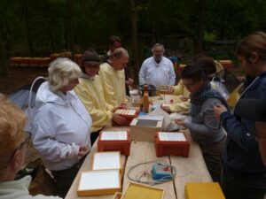 Lehrbienenstand Merwabenkästchen