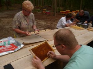 Lehrbienenstand Umlarven