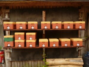 Lehrbienenstand Mehrwabenkästchen