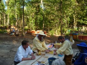 Lehrbienenstand Mittelwände