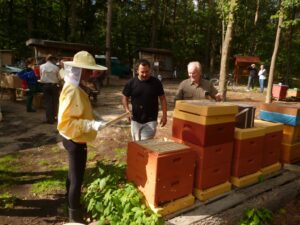 Lehrbienenstand Schülerbeuten