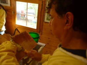 Lehrbienenstand Entdeckelung