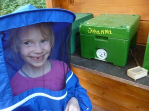 Lehrbienenstand Mehrwabenkästchen